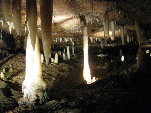 What do we call it when a stalactite and stalagmite merge? We call 'em columns. Ha! Call 'em columns. omg do you get it