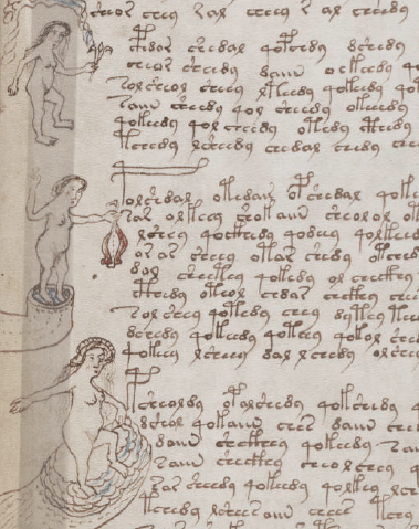 Voynich3