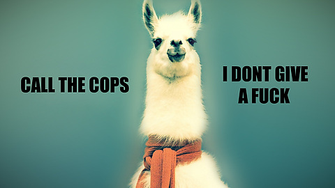 llama cops
