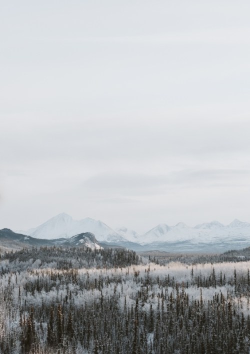 [A peaceful image of trees and mountains.]